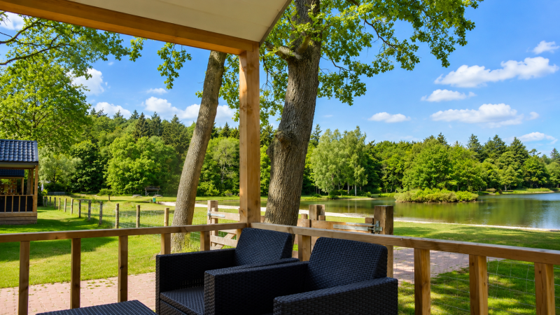 Bild 2: Camping 't Veld in Rheeze, Niederlande