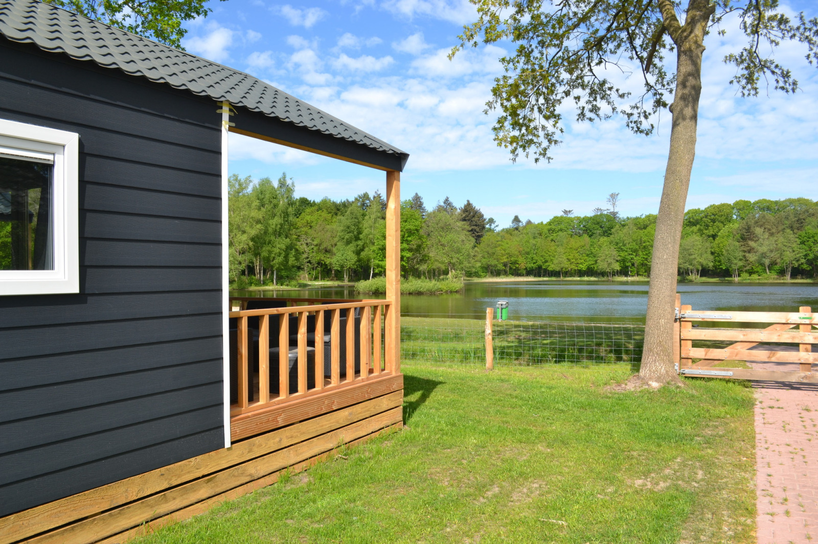 Bild 3: Camping 't Veld in Rheeze, Niederlande